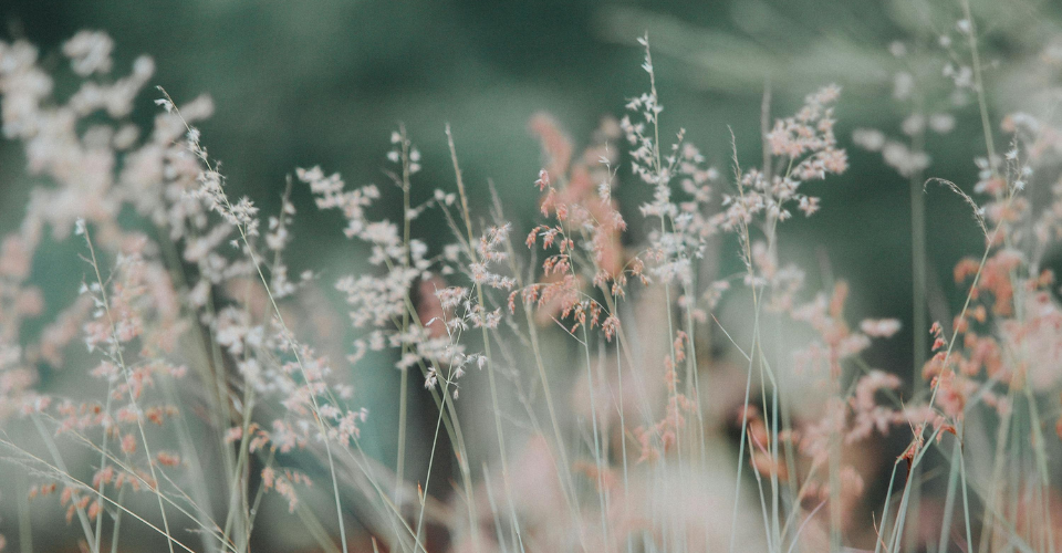 De moederwond | het meisje dat in jou nog gezien wil worden