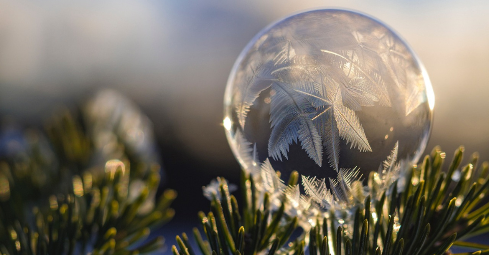 Tears in the morning